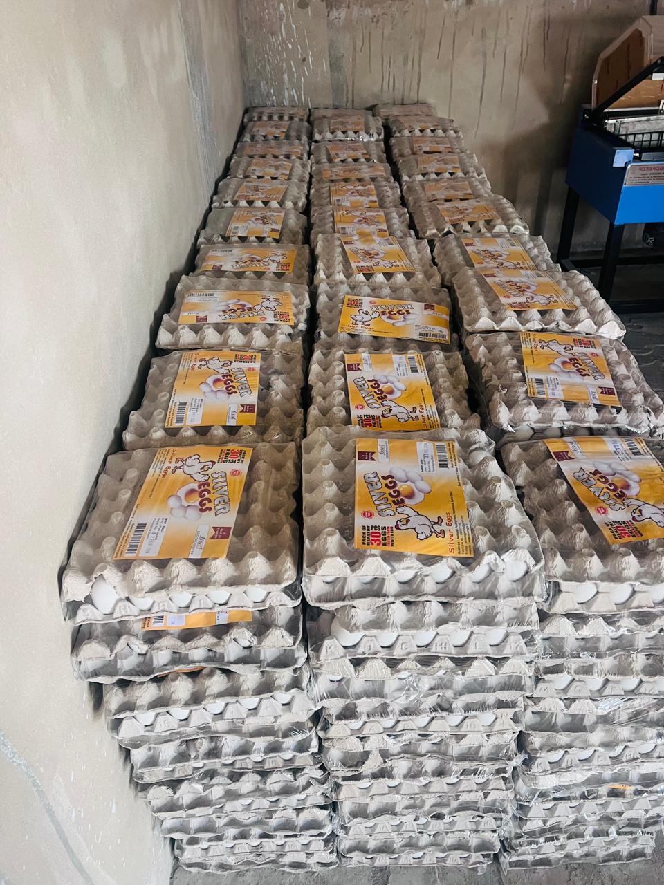 Bulk Egg Trays